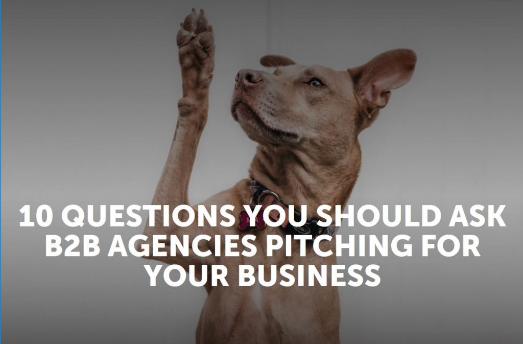 10 questions you should ask B2B agencies pitching for your business